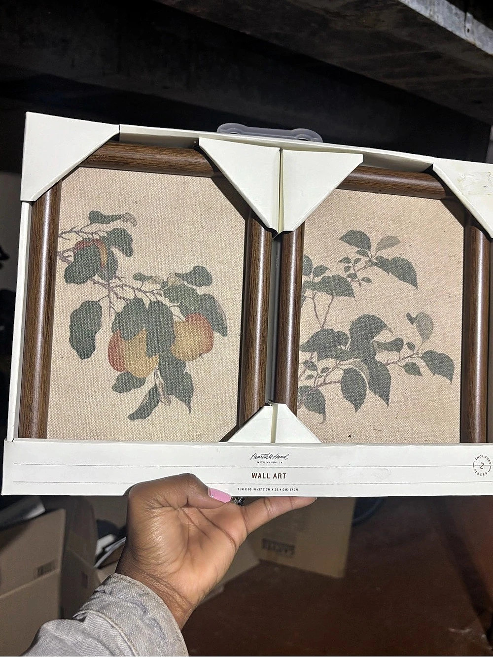 Hearth & Hand 2-Pack Leafy Fruit Framed Wall Art Set- BRAND NEW/UNUSED